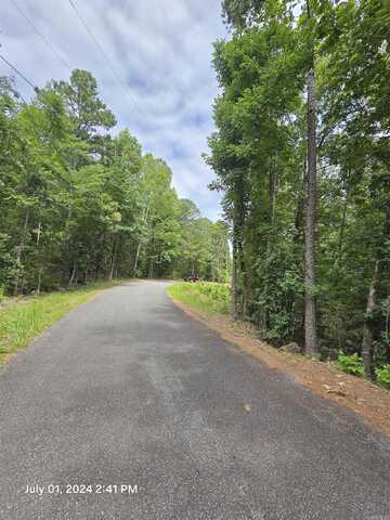 Twin Cove Circle, Greers Ferry, AR 72067