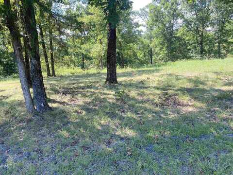 Tract 3 Irish Hills Road, Edgemont, AR 72044