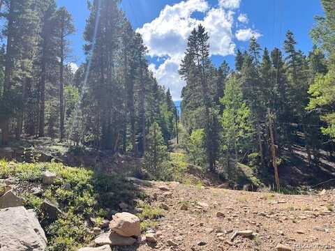 South Spring Gulch Rd, Idaho Springs, CO 80452