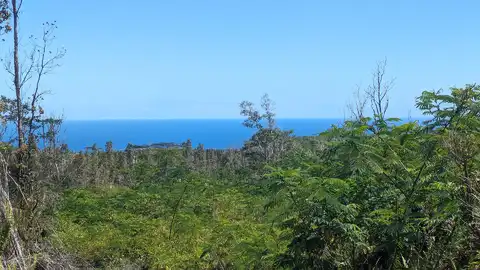 Pahoa Kalapana Rd, Pahoa, HI 96778