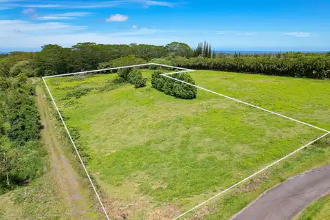 Olaa Homestead Reservation Lots, Kurtistown, HI 96760