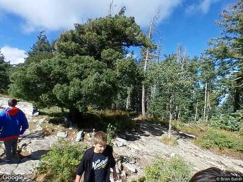 North 14, Cedar Crest, NM 87008