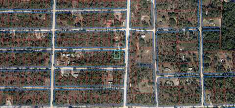 Ne 65 Street, Williston, FL 32696