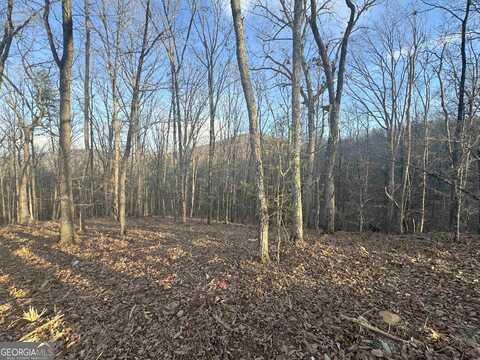 Lot 55 Teel Mtn Drive, Cleveland, GA 30528