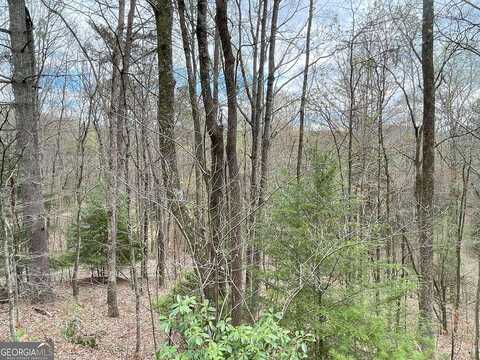 Lot 517 Chickasaw Drive, Ellijay, GA 30540