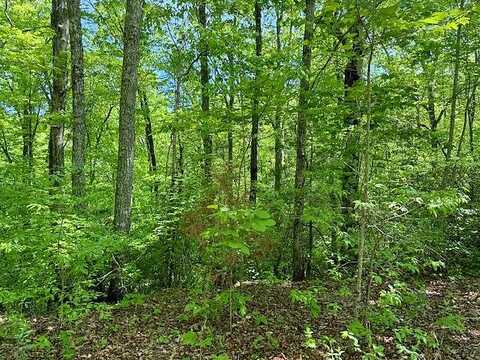 Lot 17 Paradise Mountain, Marble, NC 28905