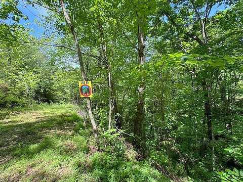 Lot 15 Paradise Mountain, Marble, NC 28905