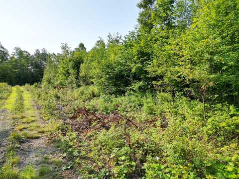 Lot 13 West Road, Springfield, ME 04487