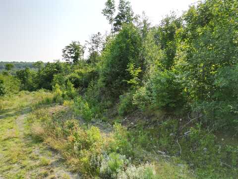 Lot 12 West Road, Springfield, ME 04487