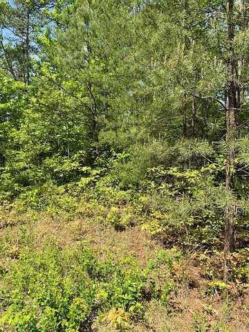 Lot 12 Paradise Mountain, Marble, NC 28905