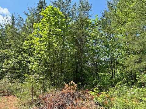 Lot 11 Paradise Mountain, Marble, NC 28905