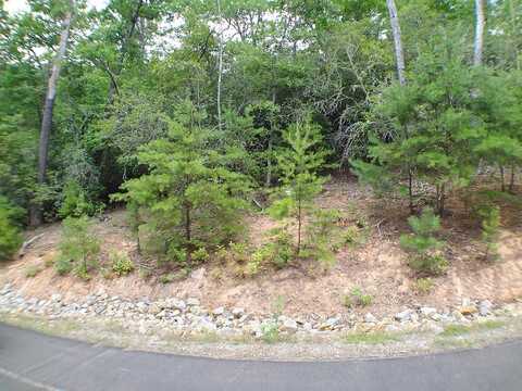 Lot # 14 Porter Creek Rd, Franklin, NC 28734