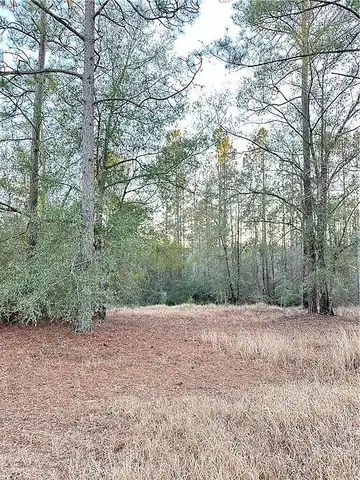 Lake Haven Drive E, Semmes, AL 36575