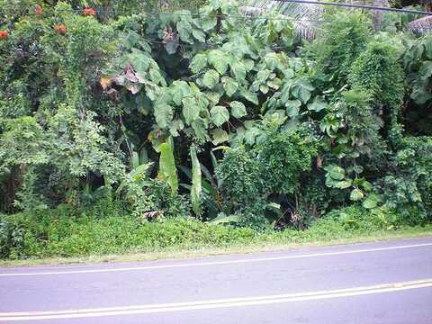 Kawakawa St, Pahoa, HI 96778