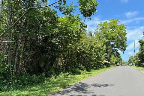 Kaku St, Pahoa, HI 96778