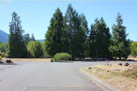 Christel Ln, Oakridge, OR 97463