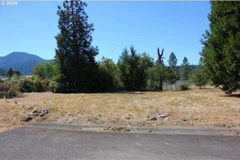 Christel Ln, Oakridge, OR 97463