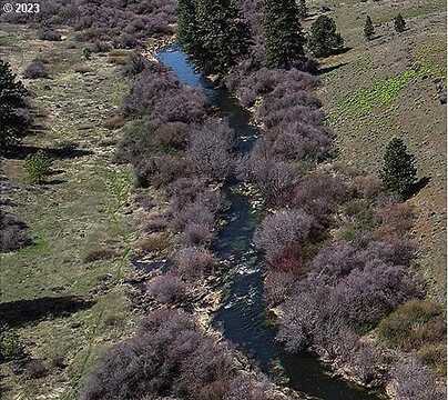 Chandler Rd, Goldendale, WA 98620