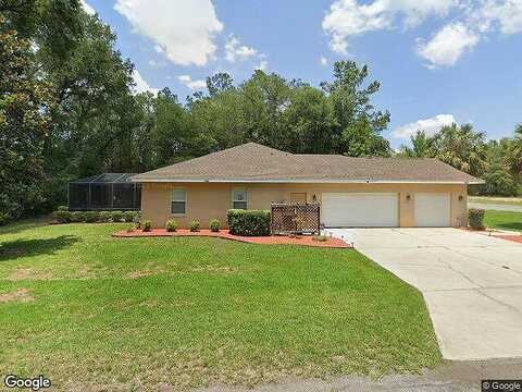 Maximilian, CITRUS SPRINGS, FL 34434