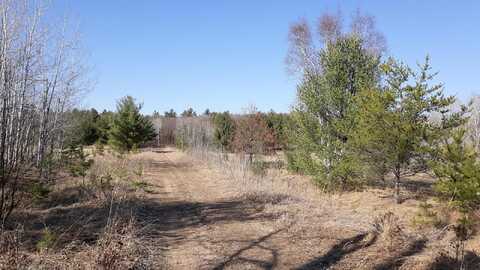 Xxx Pacer Loop, Fawn Lake Twp, MN 56438