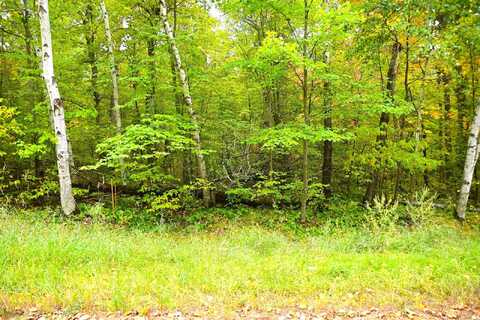 Xxx Ode Circle, Marion, MN 56438