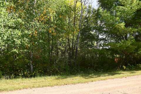 Lot 51 Block 12 Poplar Lane, Fawn Lake Twp, MN 56438