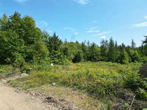 Lot 5 Dirty Glove Road, Springfield, ME 04487