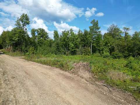 Lot 4 Bear Lane, Springfield, ME 04487