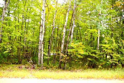 Lot 27 Block 7 Oak Drive, Marion, MN 56438