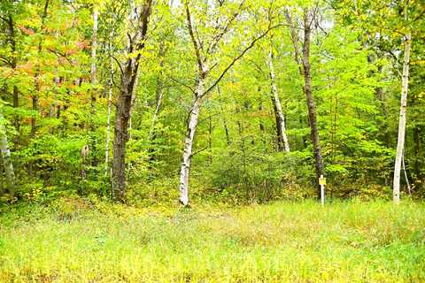 Lot 18 Ode Circle, Marion, MN 56438