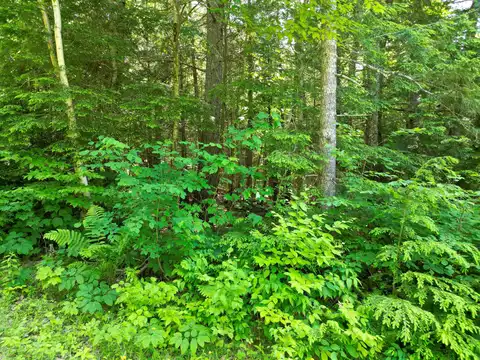 Lot 13 Moose Lane, Springfield, ME 04487