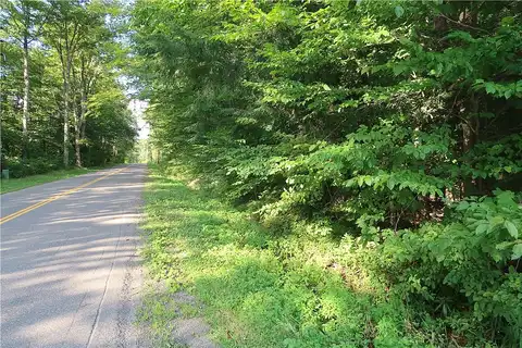 Lot 10 German Rd, Willet, NY 13863