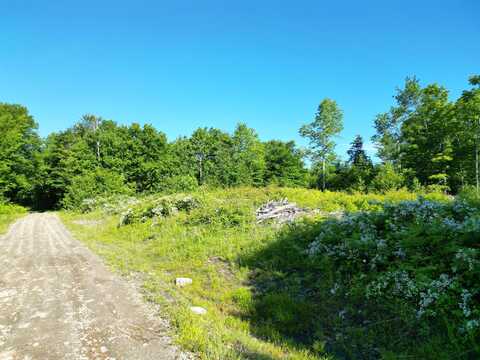 Lot 1 Dirty Glove Road, Springfield, ME 04487