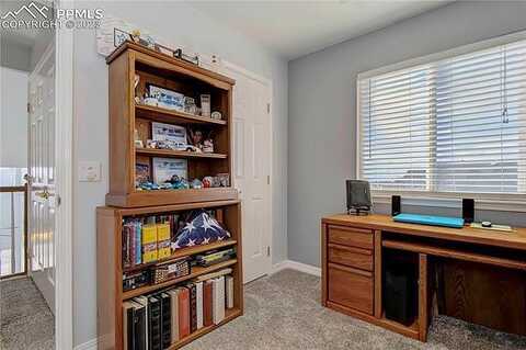 Shoulders, PEYTON, CO 80831
