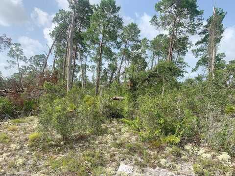 Wayside Ave, Other City In The State Of Florida, FL 33872