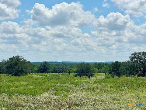 Tract C & D County Road 390, Gonzales, TX 78629