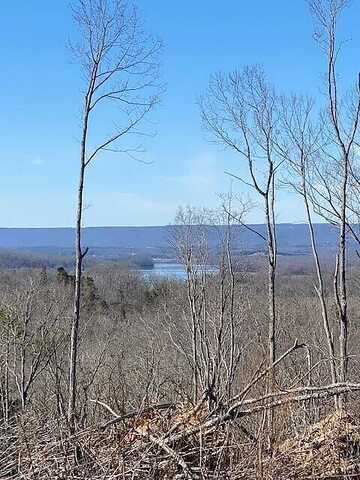 Tract 16 River Road, Decatur, TN 37322