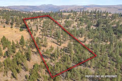 Track H Meadow Ln, Davenport, WA 99122