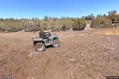 Tear Drop Rd, Seligman, AZ 86337
