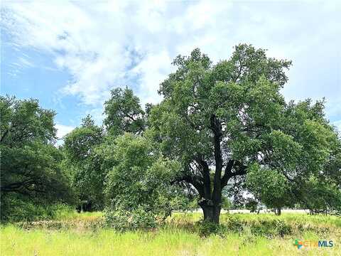 Tbd Tract 2 18.47 Ac. County Road 265, Gatesville, TX 76528