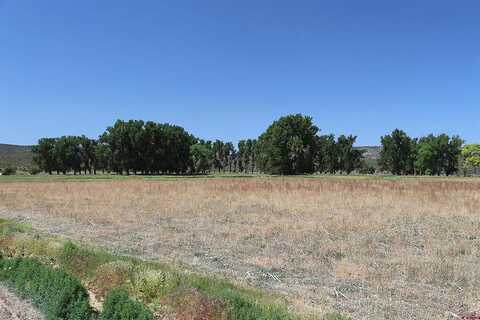 Tbd Shavano Valley Road, Montrose, CO 81401