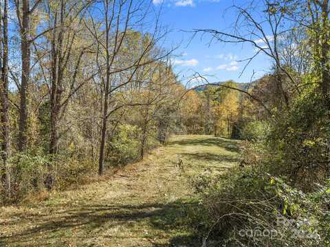 Tbd Fresh Water Road, Leicester, NC 28748