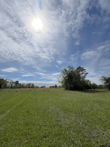 Tbd County Road 490, Henderson, TX 75652