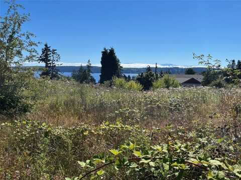 Sw Camano Drive, Camano Island, WA 98282