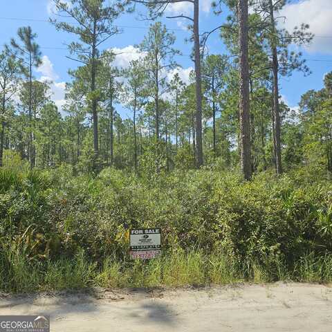 Stokes Lake Road, Folkston, GA 31537