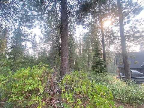 Snow Flake Ct, Crescent Lake, OR 97733