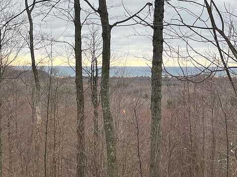 Silver Vista # Lot 2, Mears, MI 49436