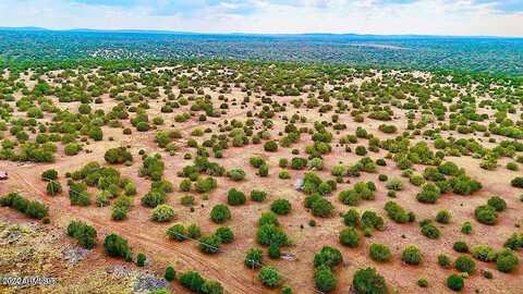 Silver Lake Blvd 248.5 Acres --, Show Low, AZ 85901