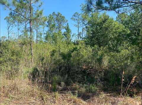 Parrot Ave, Other City In The State Of Florida, FL 33872