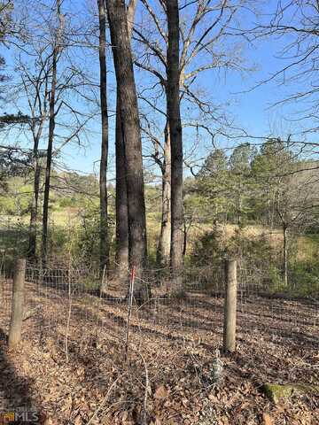 Old Highway 138 Tract 1, Oxford, GA 30054